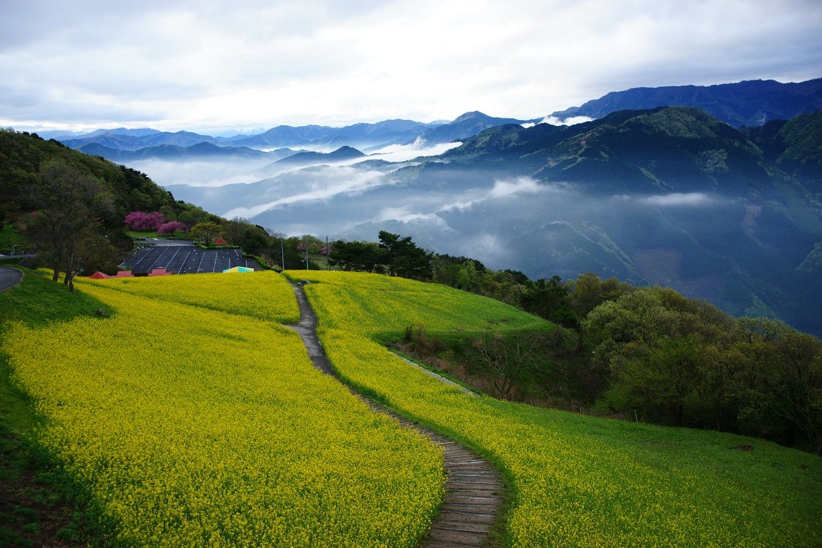 翠 波 高原