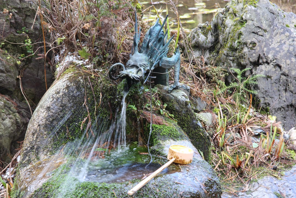 小松ヶ池｜愛媛のスポット・体験｜愛媛県の公式観光サイト【いよ観ネット】