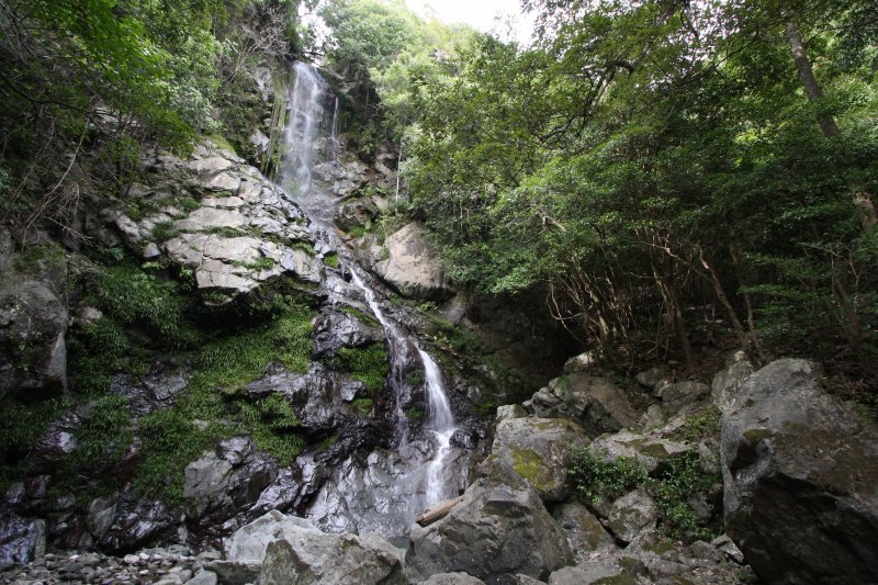 落差約３０ｍの高さを一段目は直瀑、二段目は末広がりの天ヶ滝は、多くの人を魅了し続けてきた名瀑。