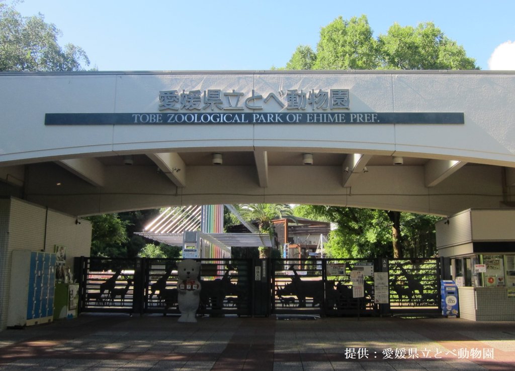 【2026】とべ動物園の日