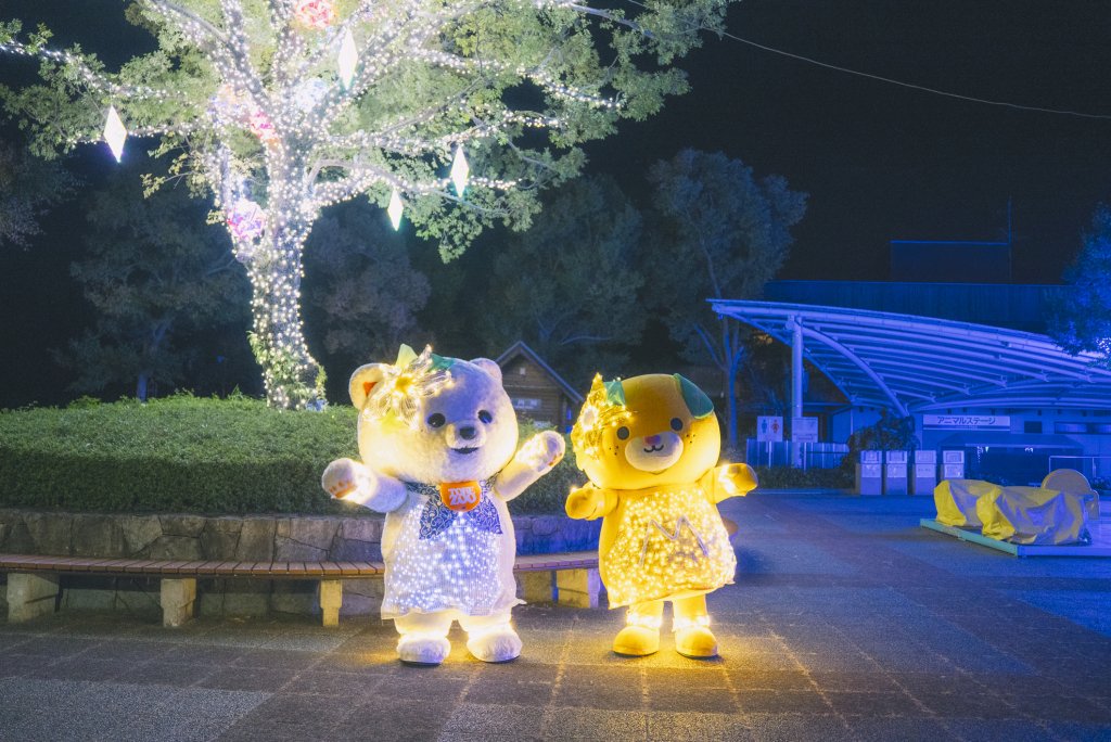 とべZOOイルミネーション2025｜愛媛のイベントを探す｜愛媛県の公式