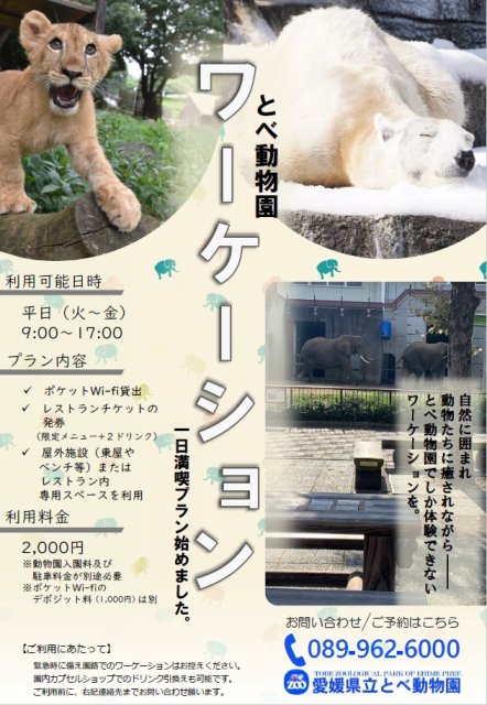 とべ動物園でワーケーション！一日満喫プラン始めました。