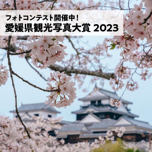 愛媛県観光写真大賞♪春の写真を募集中！