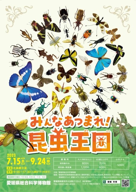 ＼テーマは昆虫！初夏のイベントを開催／
