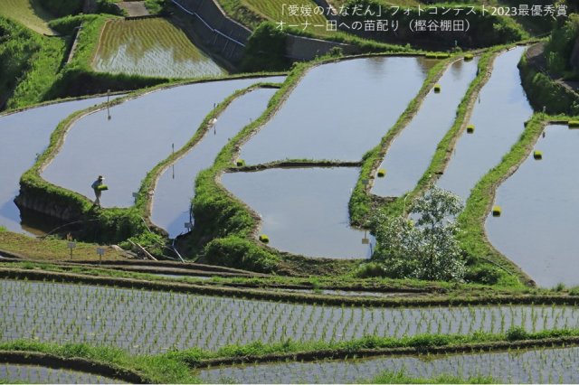 美しい「愛媛の棚田」の写真を撮ってみませんか！
