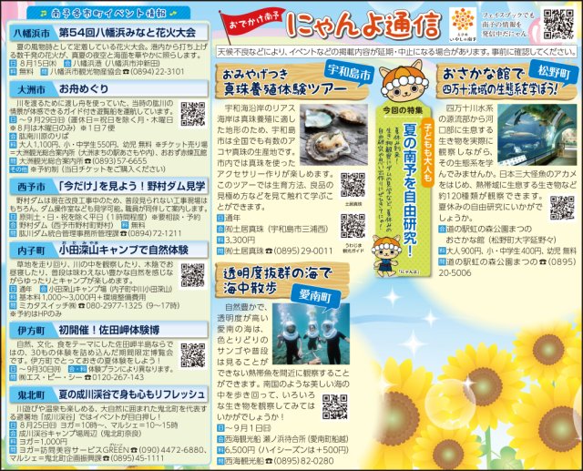 にゃんよ通信　★夏の南予で自由研究だにゃ★