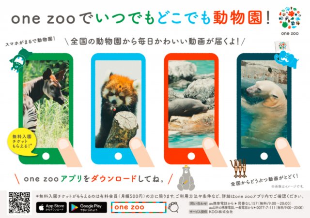 動物園の新しいサービス“one zoo”でいつでもどこでも動物園！