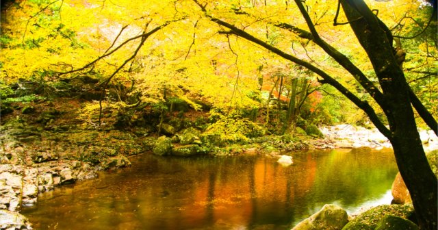 おうちで癒されて☆松野町ゆかりの音「音の文化財」を感じてみよう