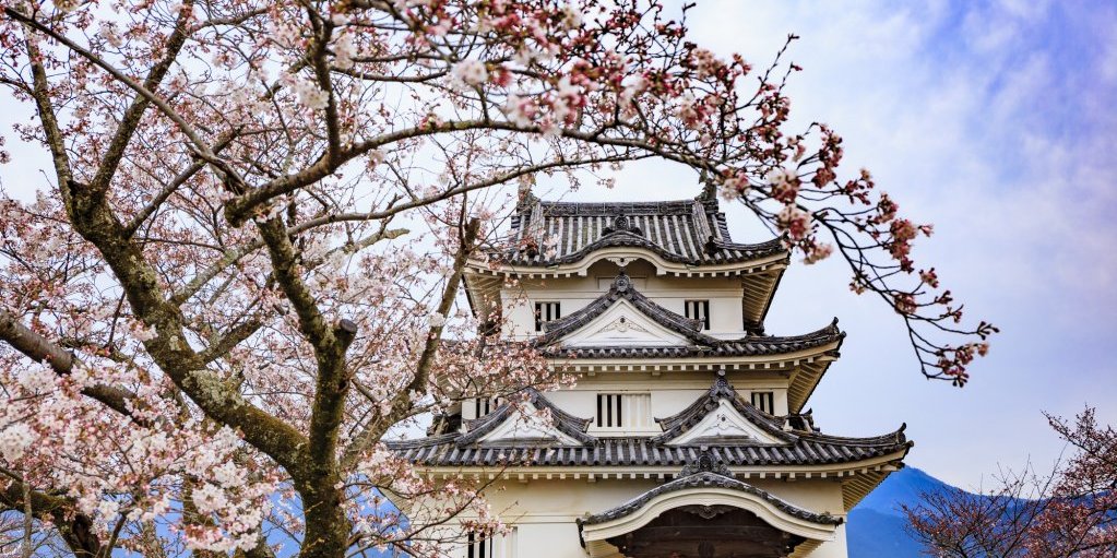 宇和島城