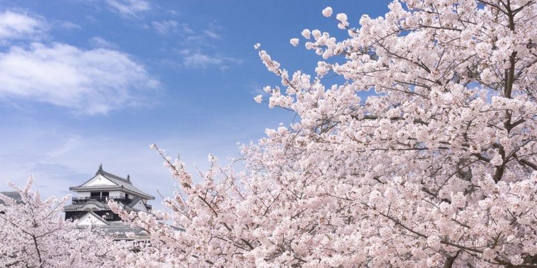 松山城