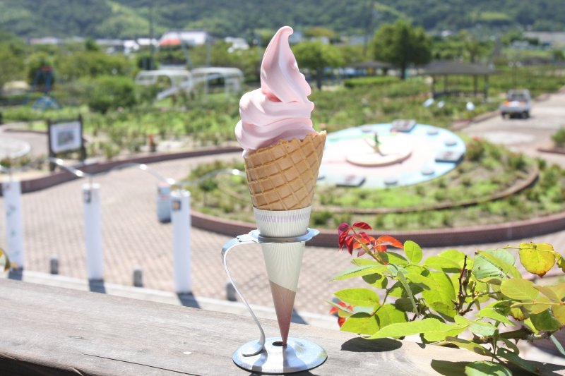 ローズ館で味わえるピンク色のバラソフトは、バラの芳醇な香りが漂う絶妙な一品。