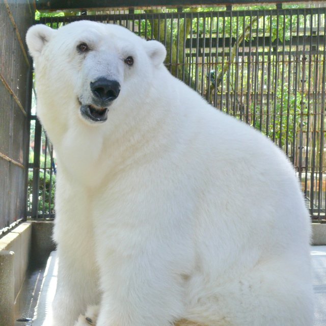 愛媛県立とべ動物園