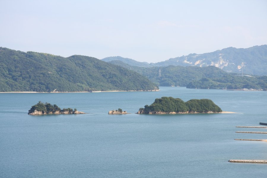 大三島の陸地部から約160mほどの距離にある大小3つの島からなる古城島は、東西約300mで南北約80mの規模を誇る城跡。