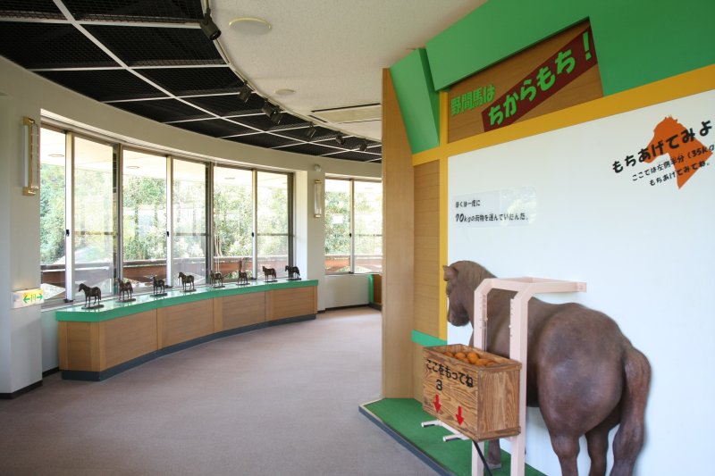 まきば館にある野間馬ものしり教室では、野間馬の実寸大模型や野間馬に使われていた小ぶりな農具などの資料を展示。