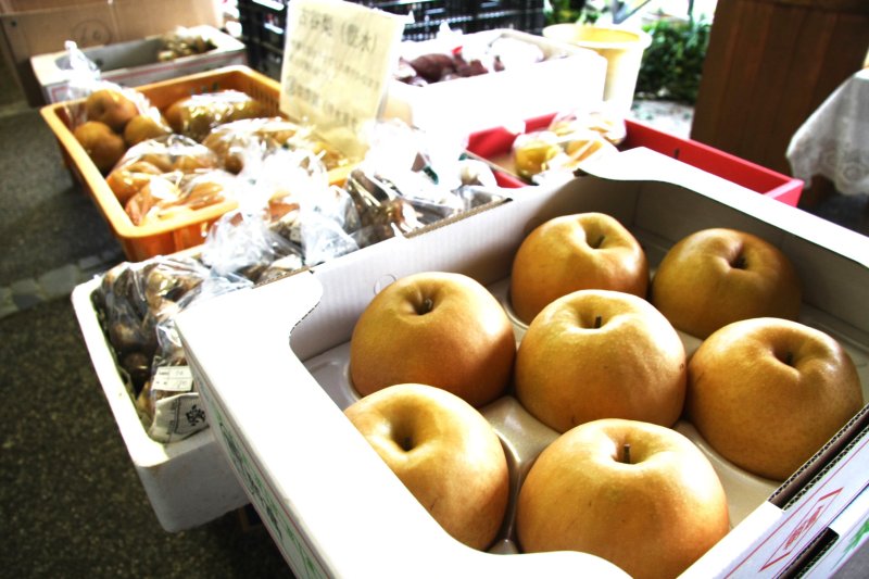 古くから朝倉の特産品である梨は、甘くてみずみずしいのが特徴の古谷梨として知られている。
