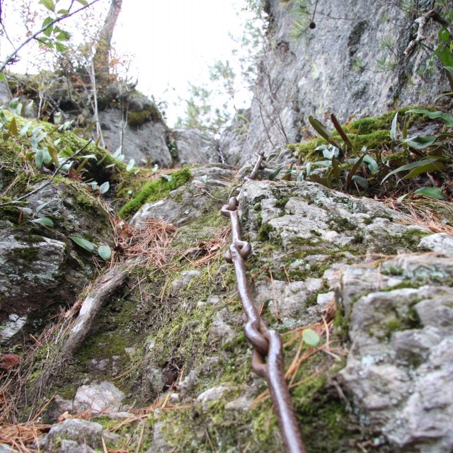 権現山（小型石鎚）