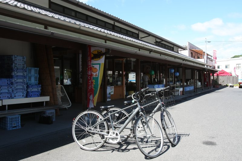 レンタサイクルで大三島の観光地を巡るなど、旅に合わせたそれぞれの楽しみ方ができる。
