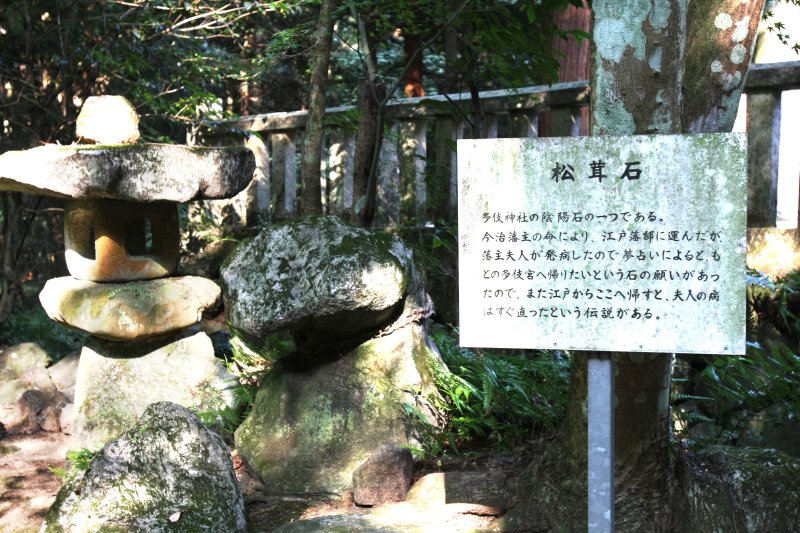 境内にある松茸岩は、今治藩主の命により江戸に運ばれたが、元の多伎宮へ帰りたいという石の願いにより、江戸からこの地へ帰されたという伝説が残されている神秘的な石。