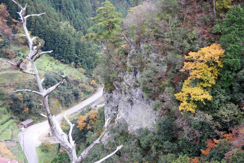 登山道のすぐ側には断崖絶壁が広がっており、訪れた人は、足をすくませながらも景観を楽しんでいる。