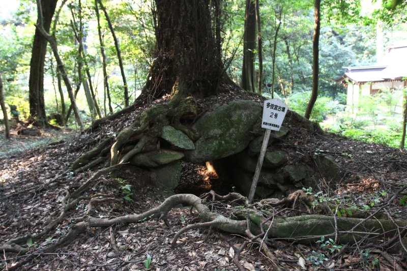 本殿の裏にある多伎宮古墳群は県の史跡に指定されており、散策しながら間近で見ることができる。