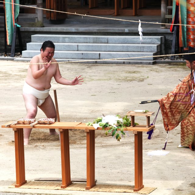 大山祇神社「御田植祭」