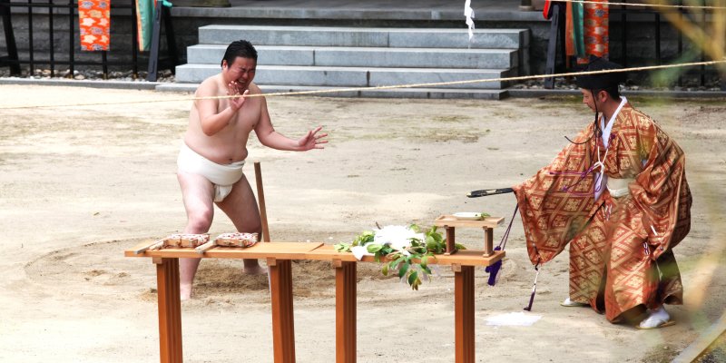 大山祇神社「御田植祭」