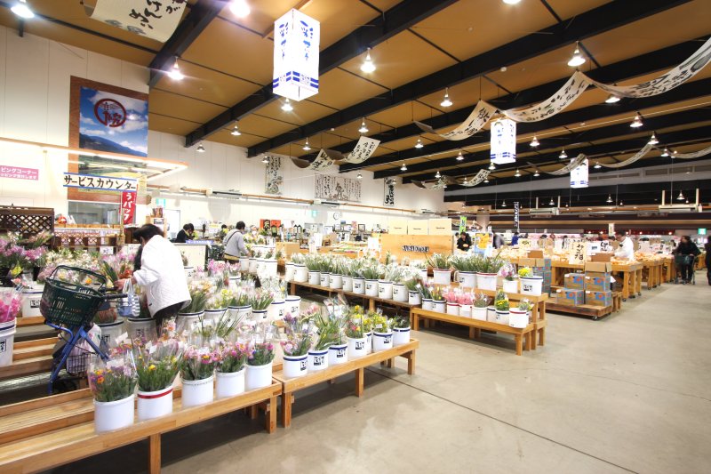 広大で開放感のある店内には、品目別に商品が陳列されており、買い物がしやすい店づくりとなっている。