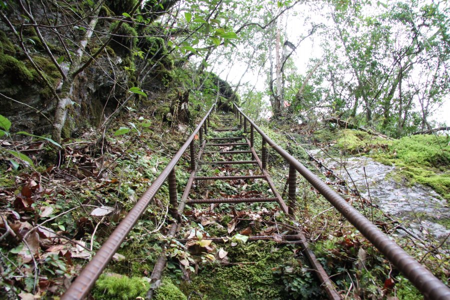 登山道は小規模の山とはいえ大変険しく、登山者は気を引き締めて山頂を目指さなくてはならない。