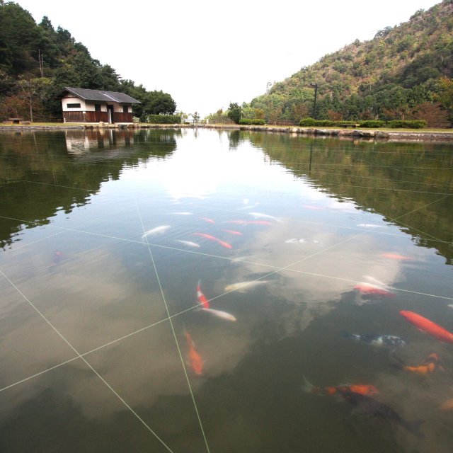 朝倉ダム湖畔緑水公園