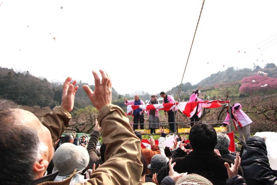 毎年2月下旬から3月上旬には「七折梅まつり」が開かれ、会場では餅まきや梅の種とばし大会などのイベントが行われる。