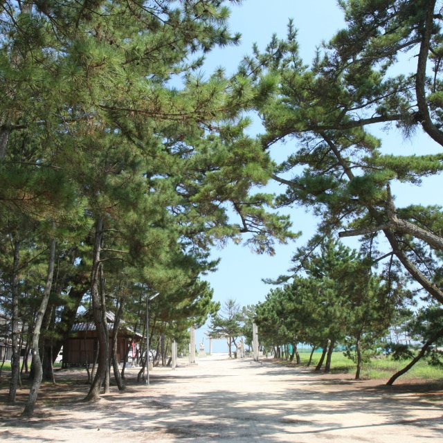 志島ヶ原