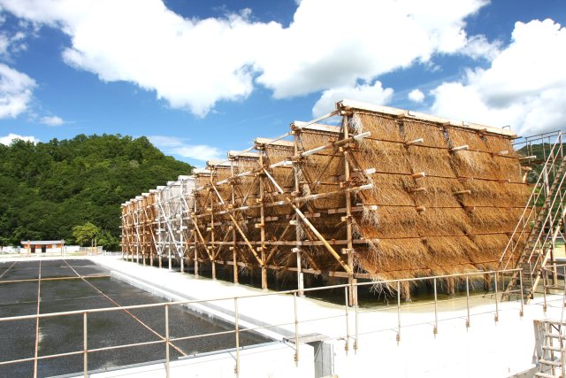 伯方塩業大三島工場