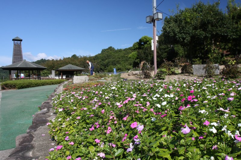 春は遊歩道沿いの桜が満開になるなど、花壇に植えられた四季折々の花が咲き誇る園内をゆったりと散策できる。