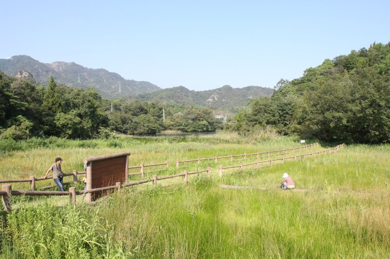 湿地内には遊歩道が設けられており、愛媛県の絶滅危惧種に指定されているサギソウなどの貴重な湿地植物を間近で観察できる。