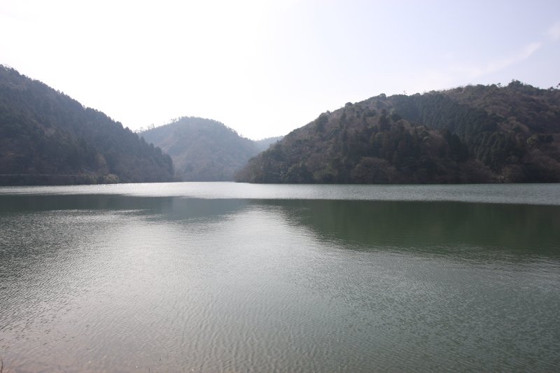 豊かな自然に包まれた環境の中、きれいに整備された大谷池は愛媛県最大のため池でもある。