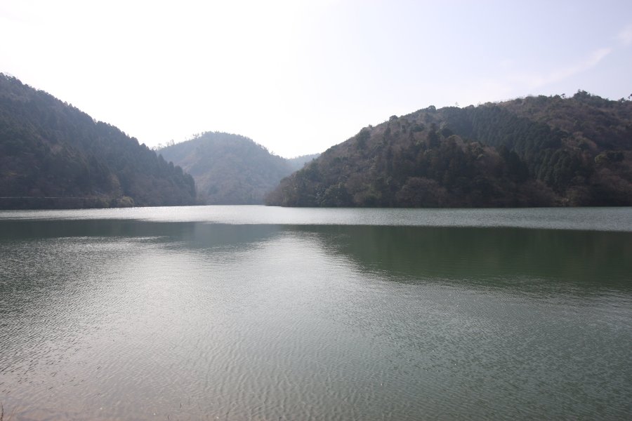 豊かな自然に包まれた環境の中、きれいに整備された大谷池は愛媛県最大のため池でもある。