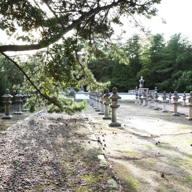 今治藩主の墓・国分山城