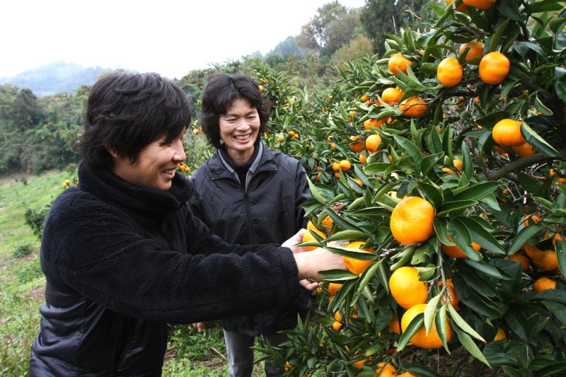野菜ソムリエの資格を持つ知識豊富なオーナーが、みかんについての質問に答えてくれる。