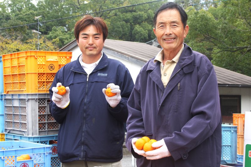 家族で生産から販売までを行っており、園地では17種類のみかんを作っている。