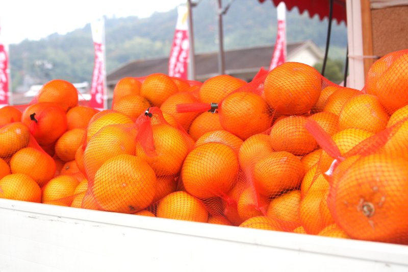 店頭には、島で育ったみかんが所狭しと並んでおり、毎年みかんを買いに来るリピーターも多い。