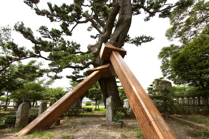 立派な松の老木の下にひっそりと佇む「作兵衛」の本当の墓は、今も献花が絶えない。
