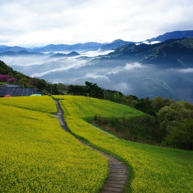 翠波高原