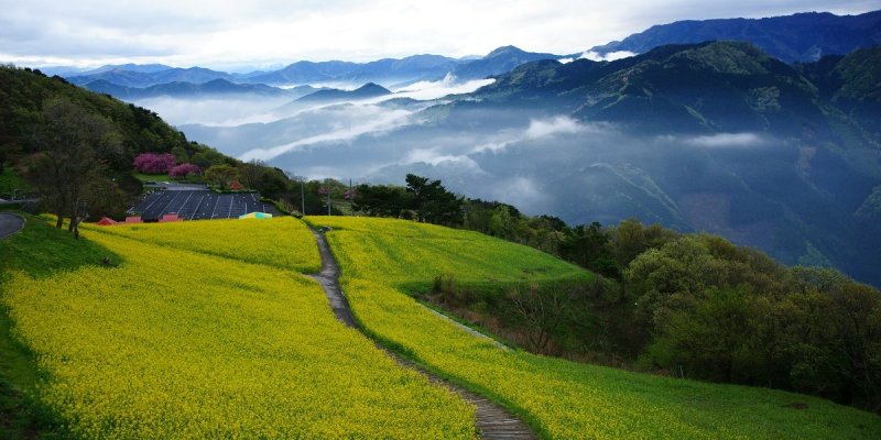 翠波高原