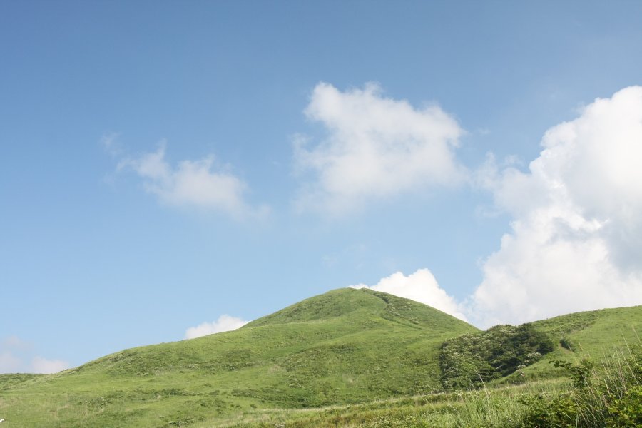 青々とした緑に覆われた夏の塩塚高原。見上げると天に届きそうな大草原に圧倒される。