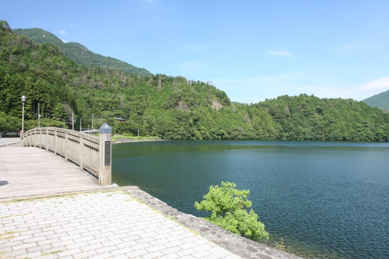 公園内は遊歩道が整備されており、湖畔には水と緑の風景が広がる。