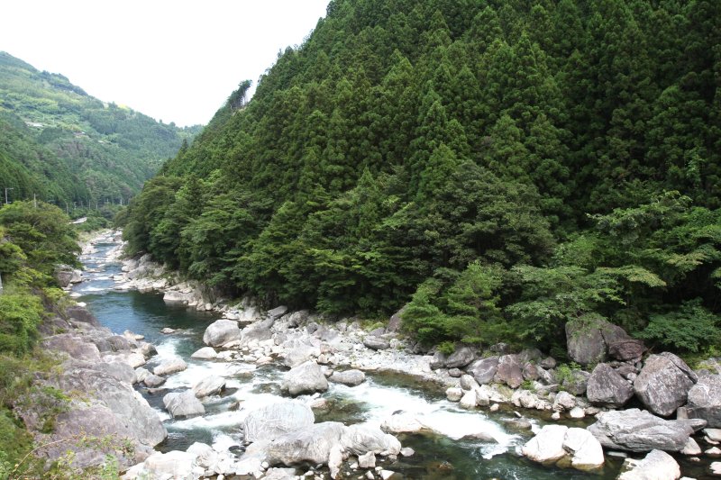 富郷ダムから放流された水で作られる銅山川。水温は低く水は澄んでいる。