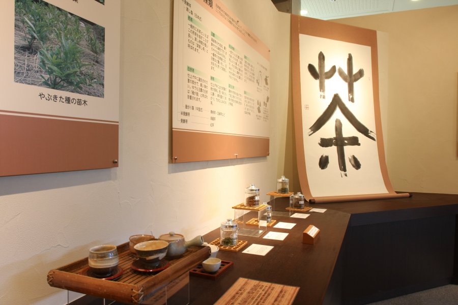 新宮の歴史や日本茶について学べるコーナーでは、ここでしか知ることのできない情報がたくさんある。