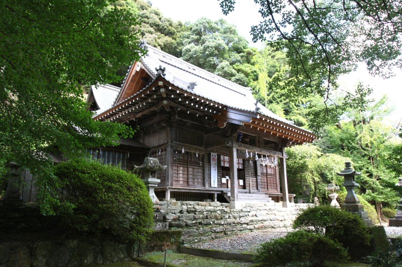 境内の拝殿周辺には、神木となっている推定樹齢約400年の大イチョウを始め大木が立ち並び、厳かな雰囲気と歴史ある風格が漂っている。