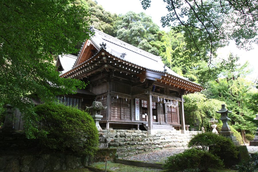 境内の拝殿周辺には、神木となっている推定樹齢約400年の大イチョウを始め大木が立ち並び、厳かな雰囲気と歴史ある風格が漂っている。
