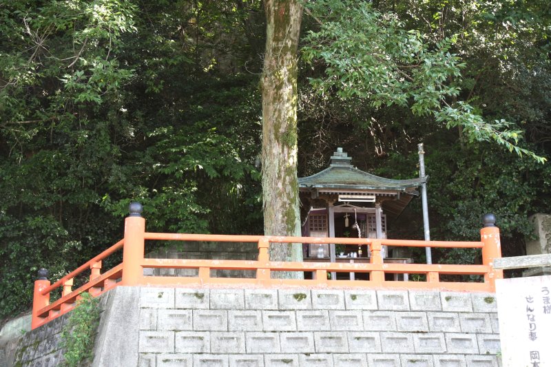 はりまや橋のような欄干が建つ敷地には、森に抱かれるように小さなお堂が静かに佇んでいる。